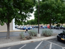2016051511012320160515_SandiaBMWCleanCars_095