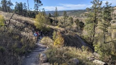 PXL_20211016_223517805