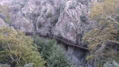 PXL_20211017_152044505