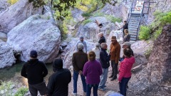 PXL_20211017_153049020