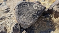 PXL_20220312_205830997