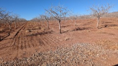 PXL_20220312_230242288