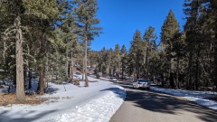 PXL_20220313_164152424