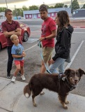 Kids-and-dogs-2