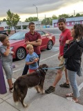 Kids-and-dogs